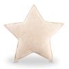 Aalwero Cushion Star