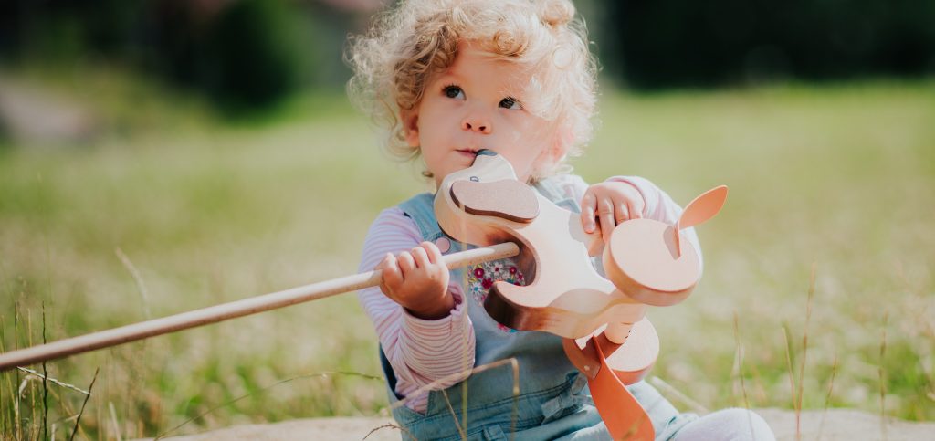 Jouets en bois Peaux de laine Tarnawa