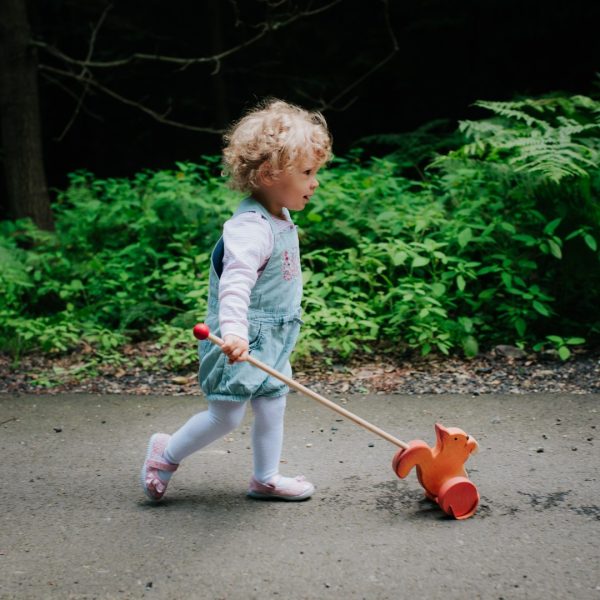 Wooden push stick - walking stick Wooden toy Woolskins Tarnawa