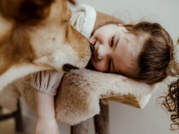 Schafsfelle für Zuhause - Ökologische & natürliche Teppiche | Wollfell