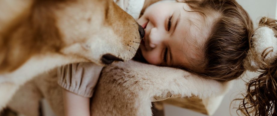 Schafsfelle für Zuhause - Ökologische & natürliche Teppiche | Wollfell {{brizy_dc_image_alt entityId=