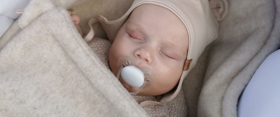 {{brizy_dc_image_alt entityId=